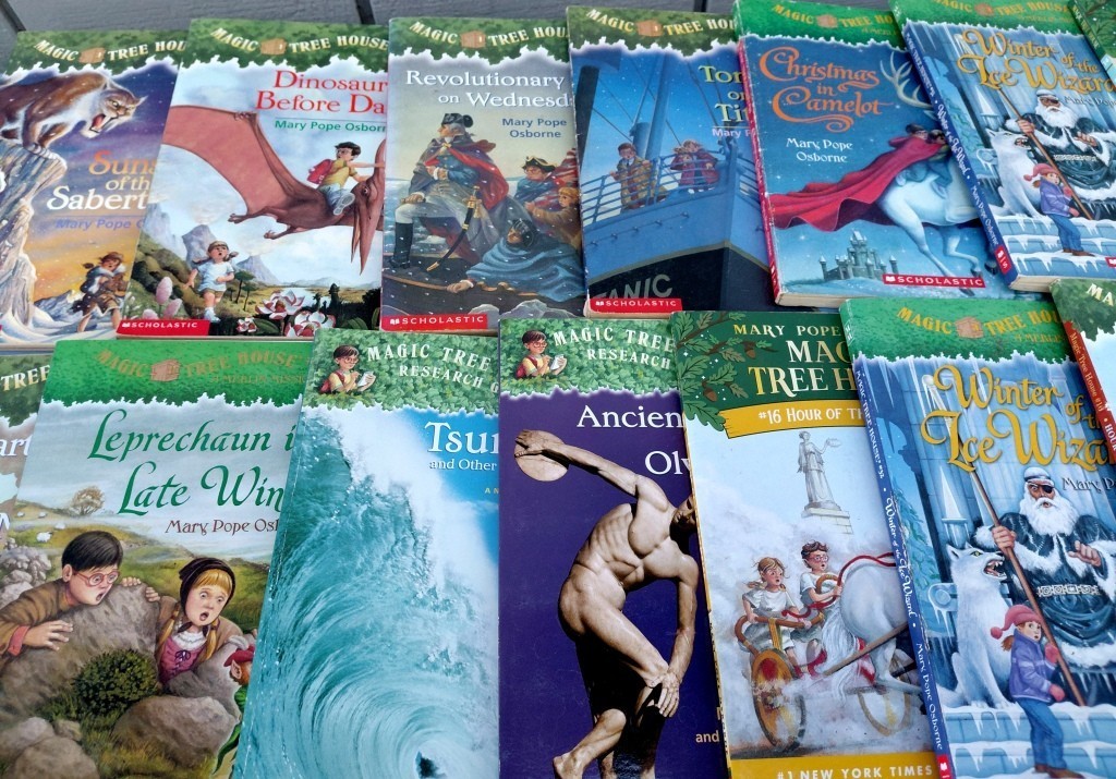COLLECTION (20) MAGIC TREE HOUSE GIRLS YOUTH STORY SERIES SC