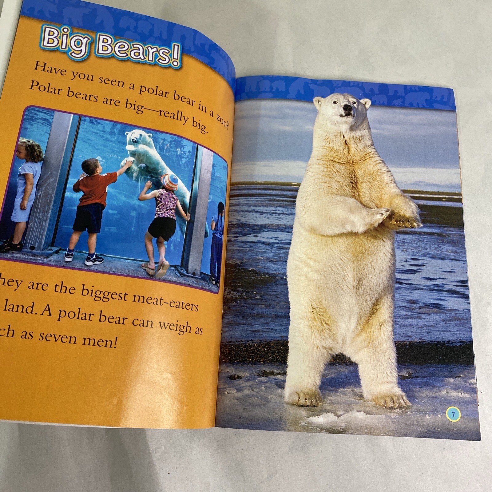 Lot of 3 Beginner Childrens Reading Books Level 1 Paperback Schoolastic Minions