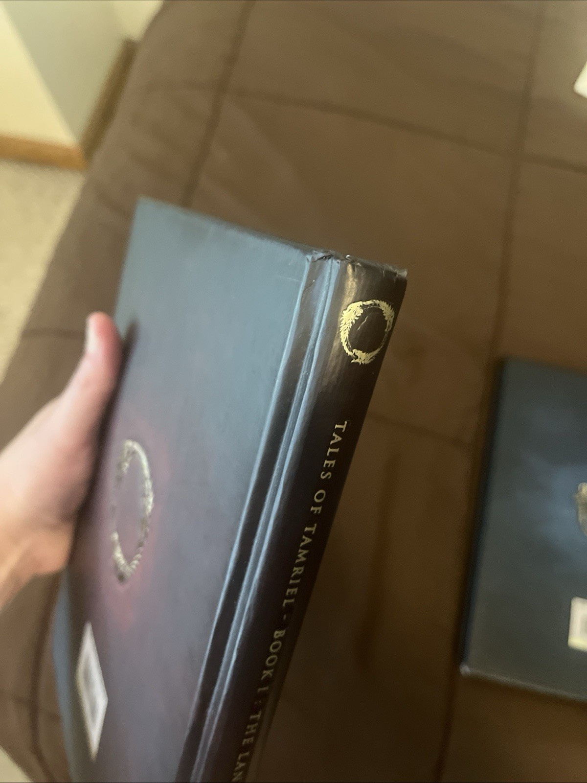The Elder Scrolls 6 Tamriel Books Skyrim Oblivion Morrowind Online Video Game
