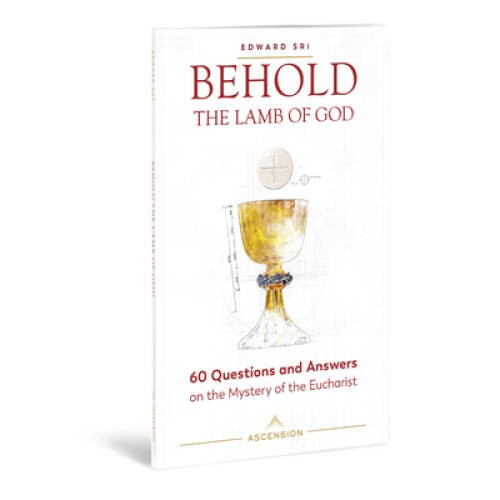 Behold the Lamb of God: 60 Questions and Answers on the Mystery of t – VERY GOOD