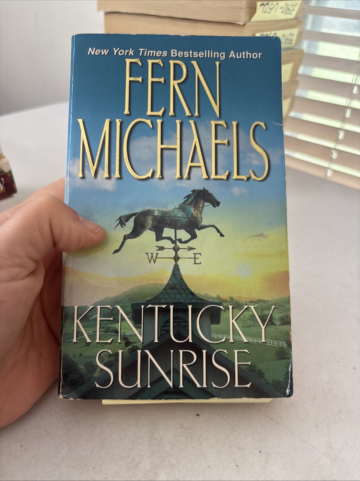 Lot of 10 – Fern Michaels Mass Paperback Books – FREE SHIPPING