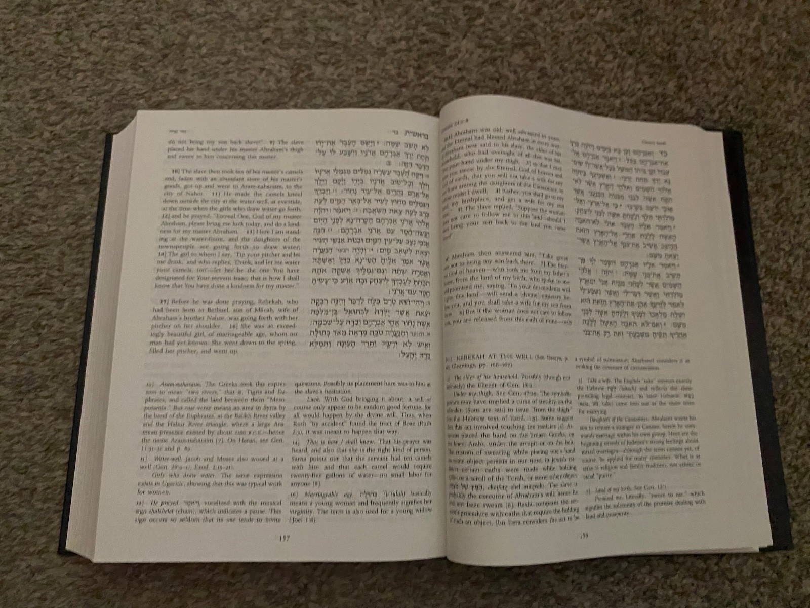 The Torah: A Modern Commentary, Revised Edition W. Gunther Plaut, David E. S. S