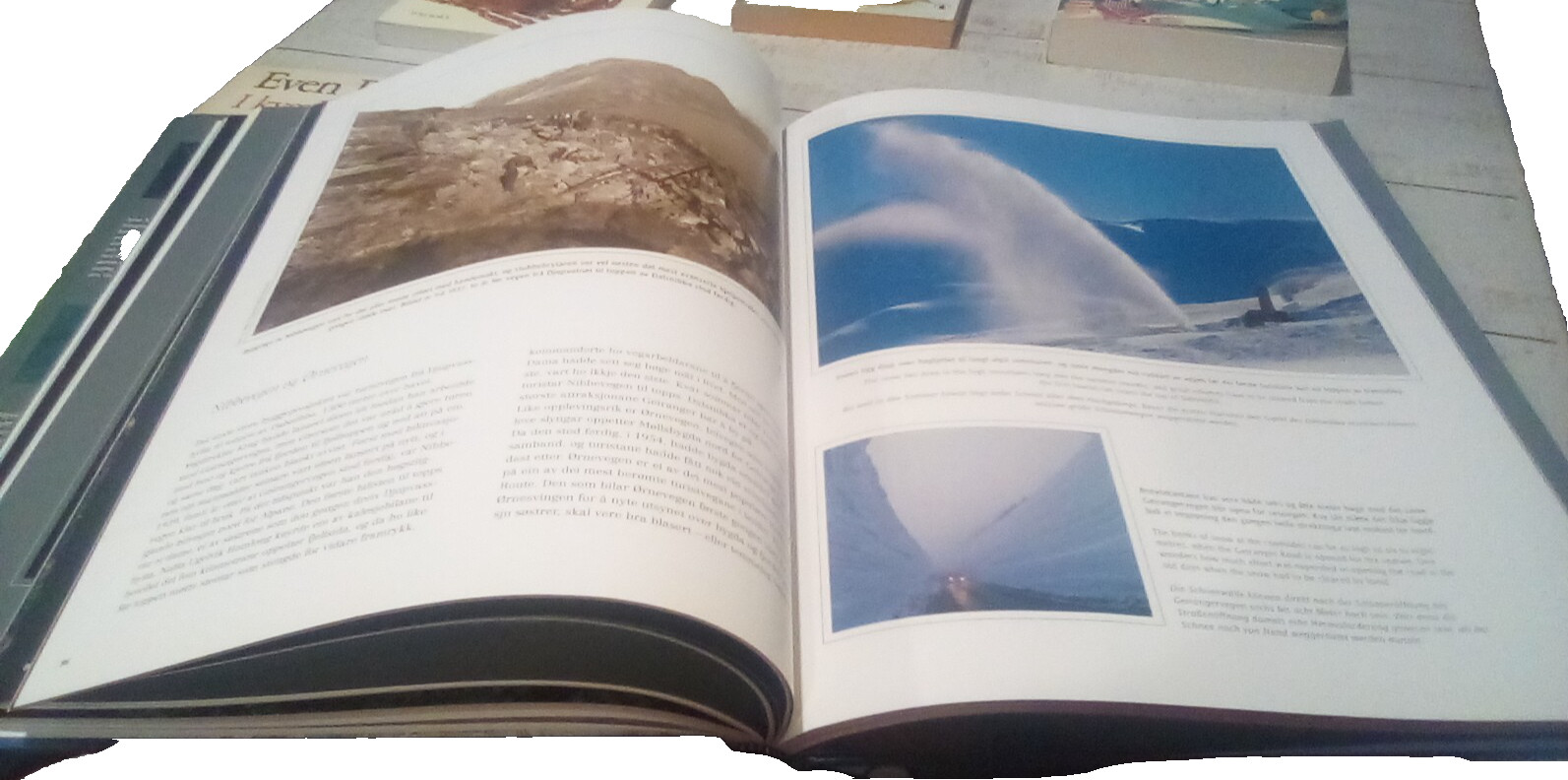 Norwegian and Icelandic Book Lot – Assorted Genres and Themes