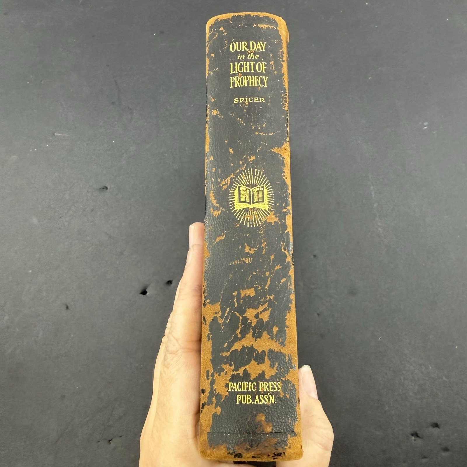 Our Day in the Light of Prophecy – Book by W.A. Spicer (Review and Herald, 1917)