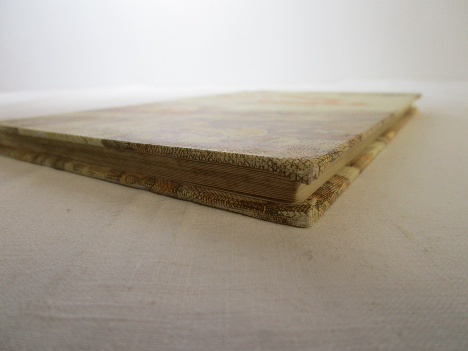 Vintage 1976 Turtle’s Shell – Hardcover Murdocca, Sal Rare