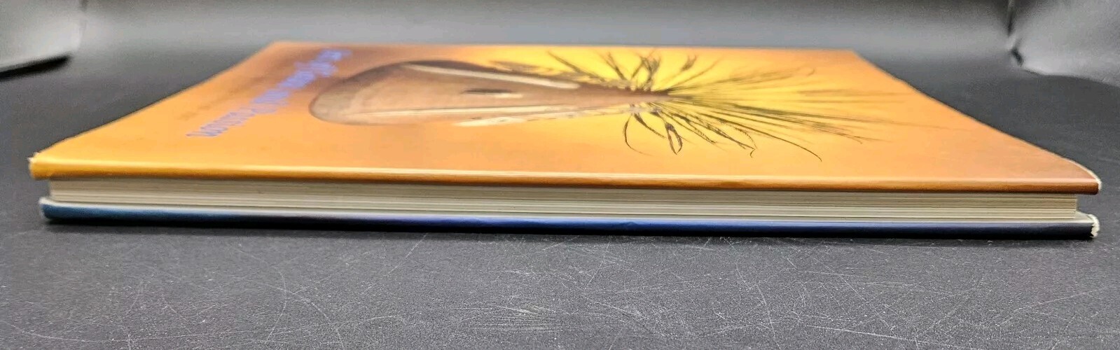 Art of Grace and Passion Antique American Indian Art Book Coffee Table HCDJ