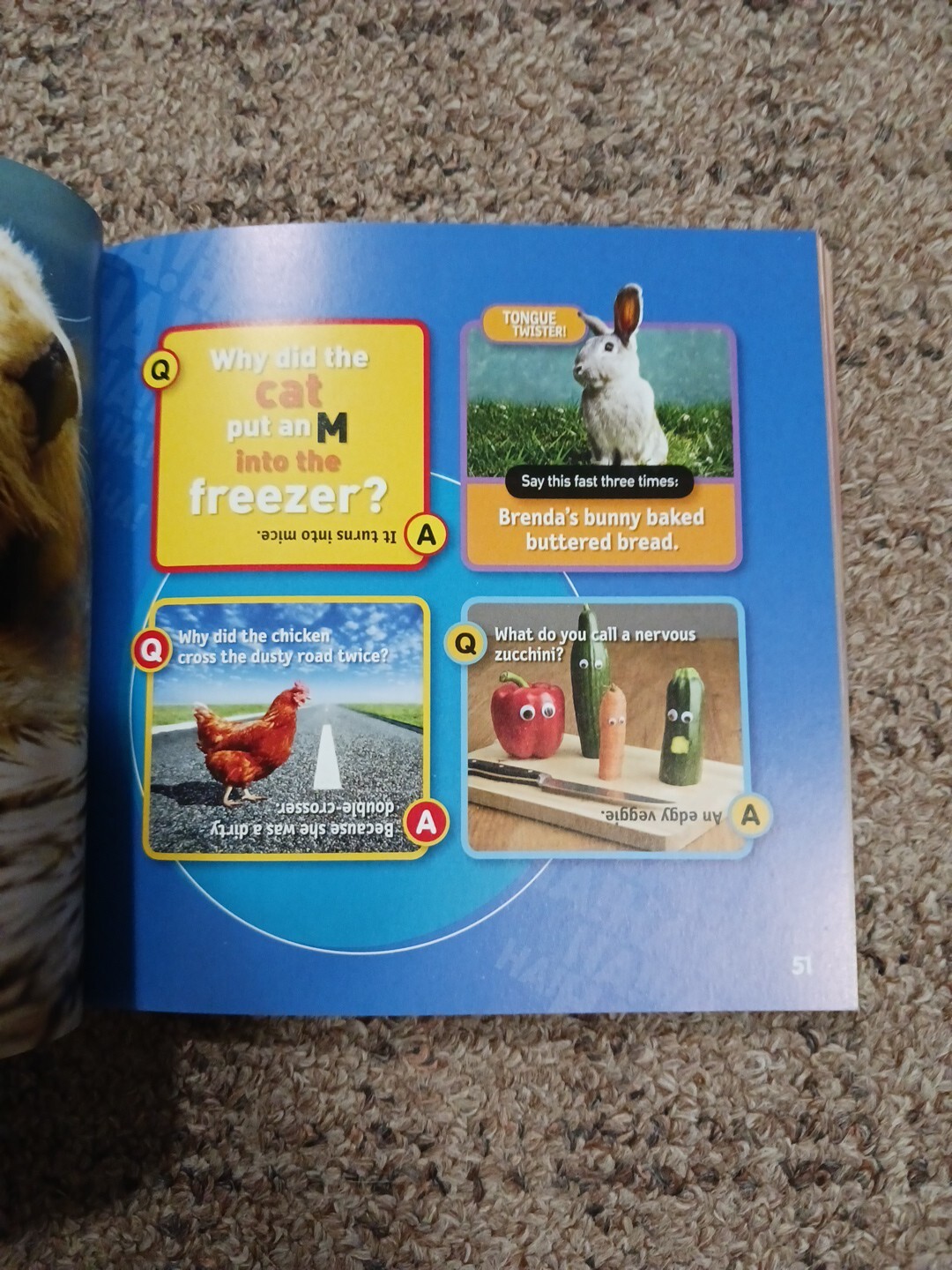National Geographic Kids Just Joking : 300 Hilarious Jokes Book
