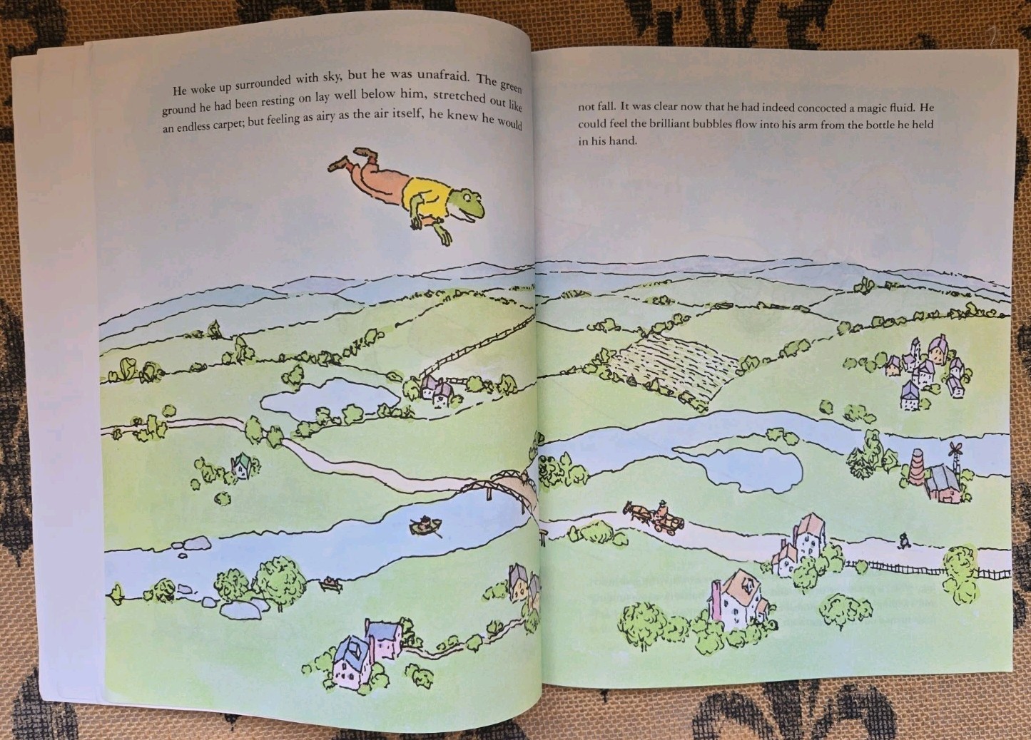 Stories about Frogs Childrens Book Lot Freddie the Frog, Hoppy Long Legs, Gorky