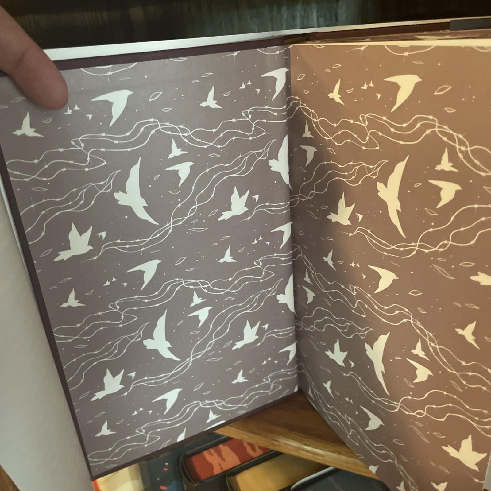 To Cage A Wild Bird By Brooke Fast Allurial Special Edition Edges Hardcover