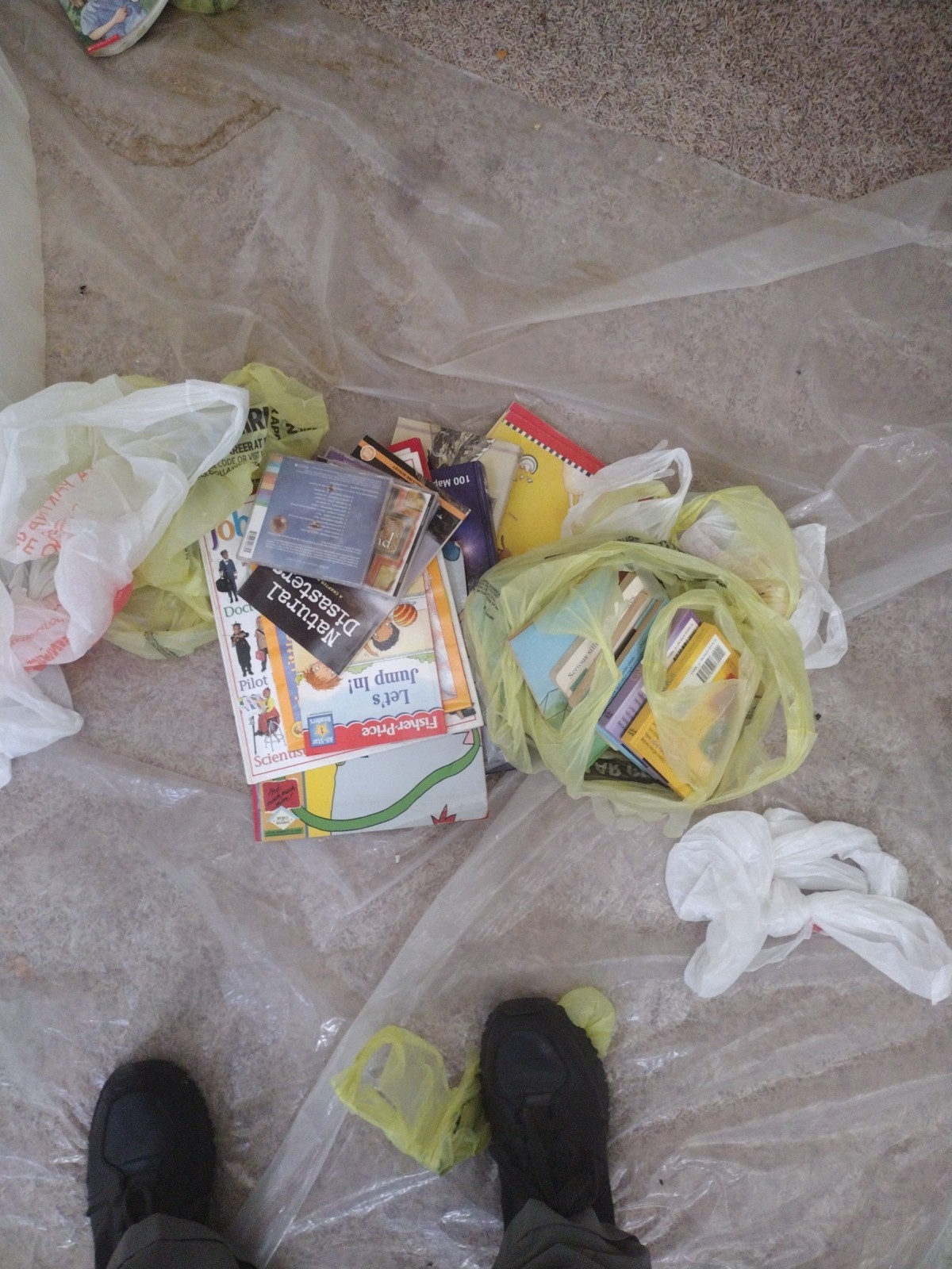 Bulk/Huge Lot of 50 Children’s Kids Chapter Books – Random – Free Shipping!