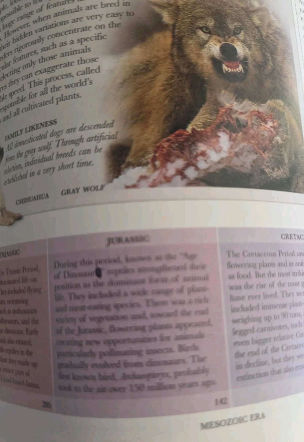 Smithsonian Institution Animal:The Definitive Visual Guide to the World’s….