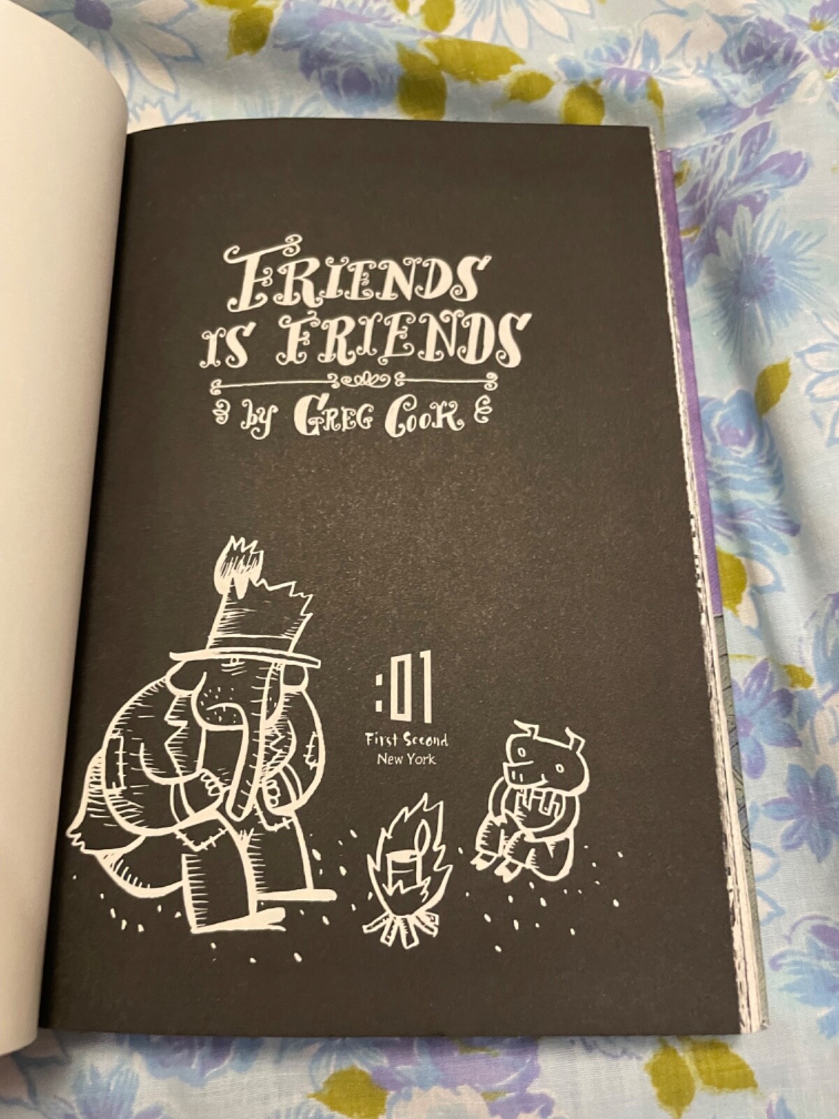 BOOK Friends is Friends Greg Cook First Edition 2016 Graphic Novel Roaring Brook
