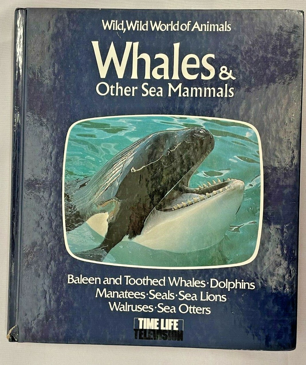Whales Dolphins Sharks Dangerous Sea Creatures Ocean Animals Book Lot of 5