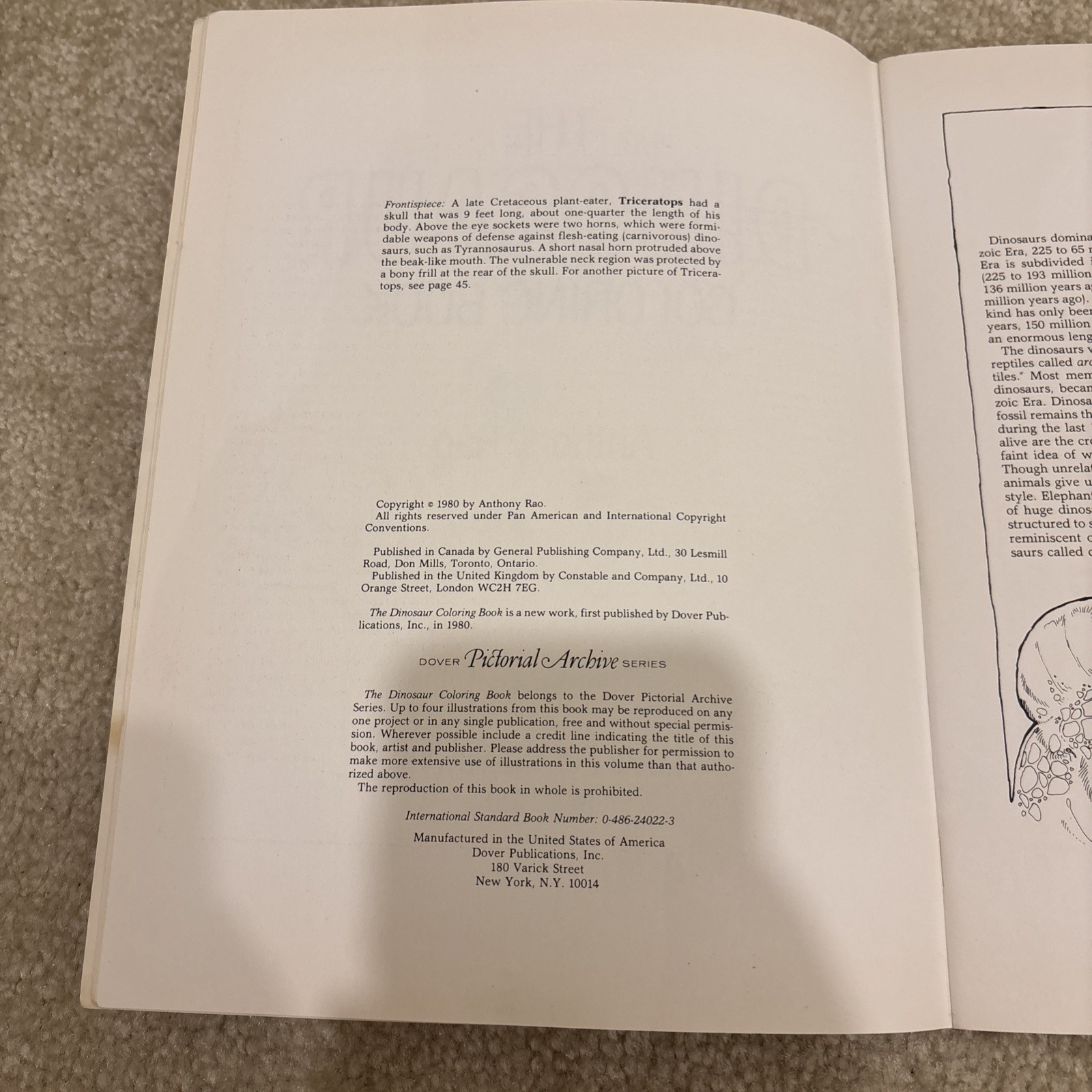 The Dinosaur Dover Coloring Book Paperback Anthony Rao Vintage 1980