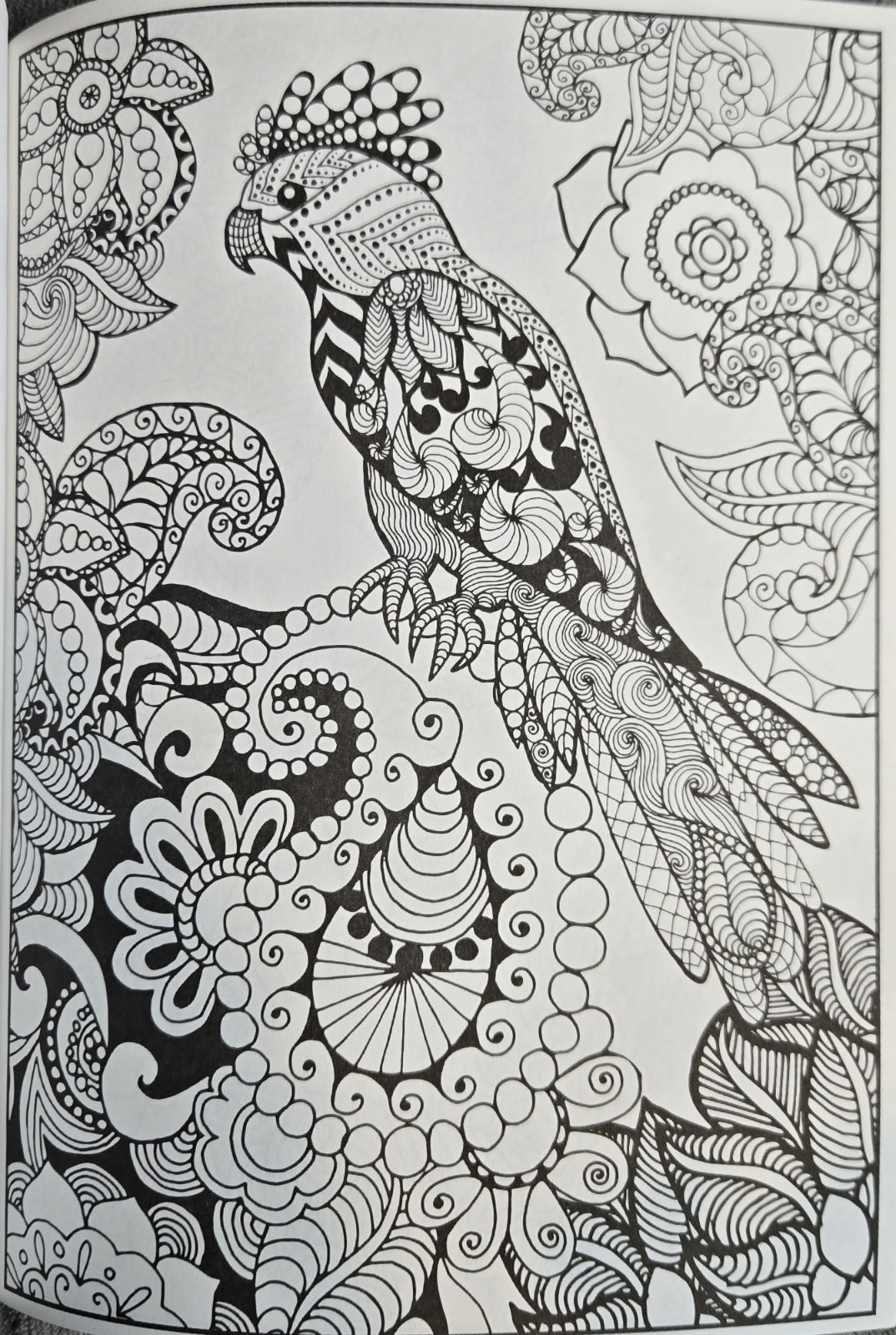 3 Adult Coloring Books Creative Mindful Stress Relief Jade Summer Animals Nature