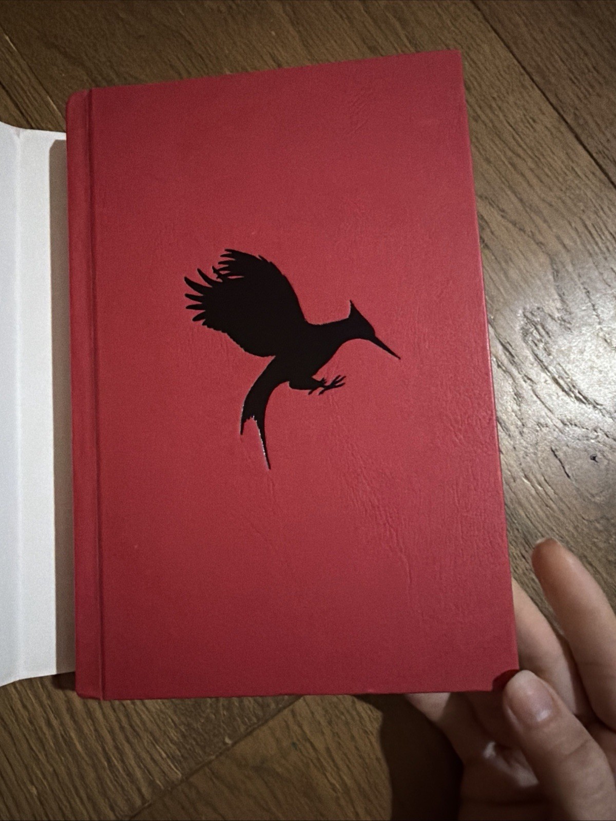 Catching Fire: Deluxe Edition (The Hunger Games, Book Two) by Suzanne Collins
