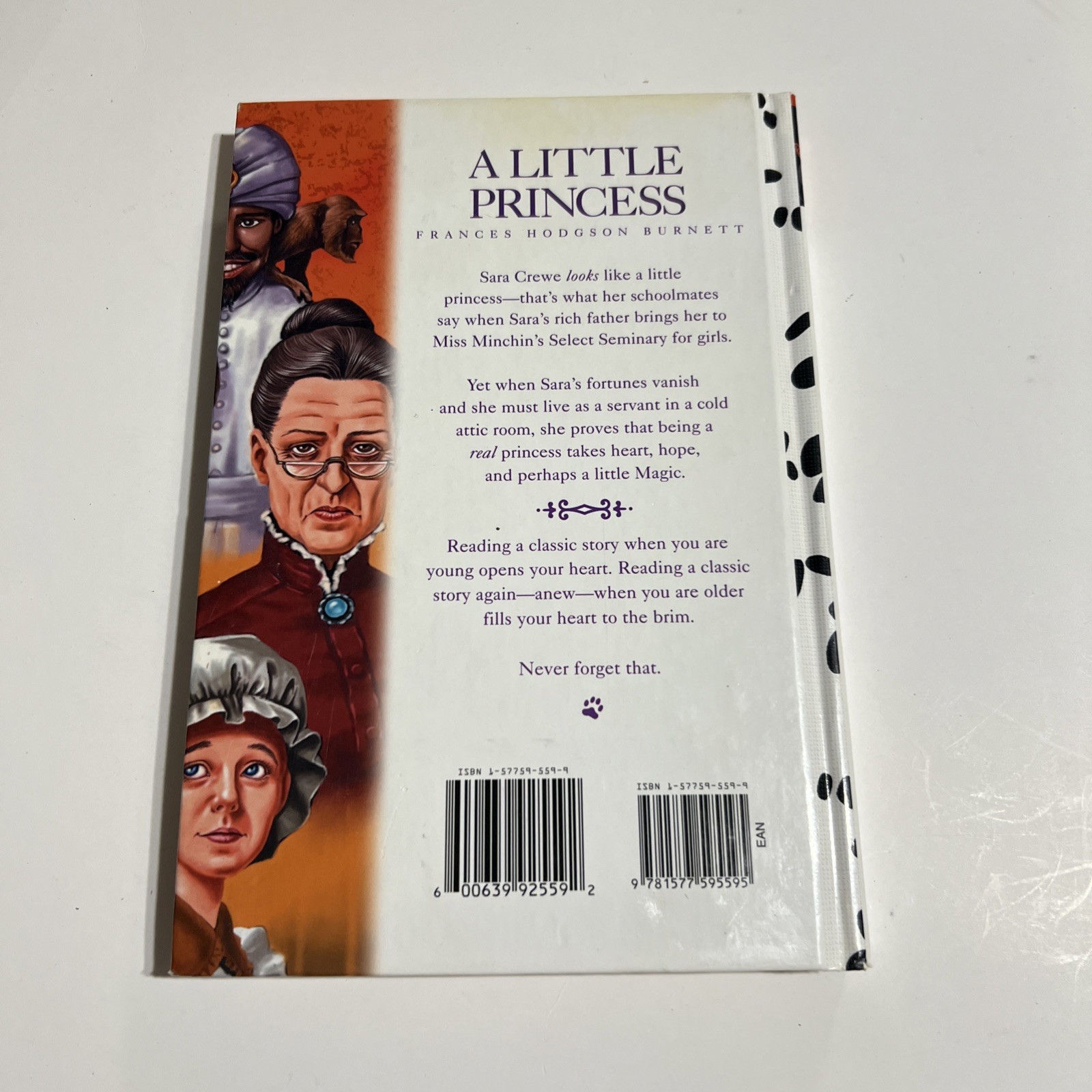 Little Princess by Dalmatian Press Staff (Hardcover)