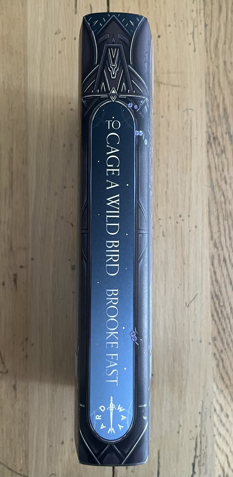 SIGNED To Cage a Wild Bird by Brooke Fast – Fairyloot Special Edition