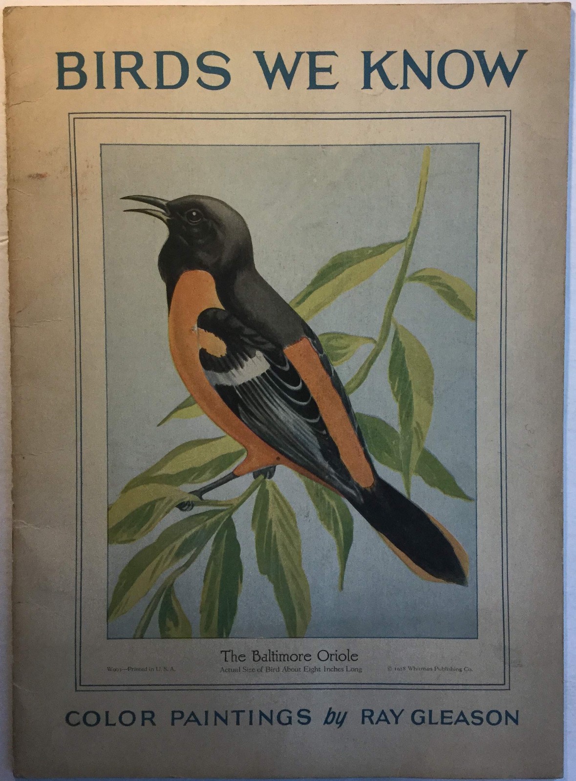 BIRDS WE KNOW Color Paintings by Ray Gleason