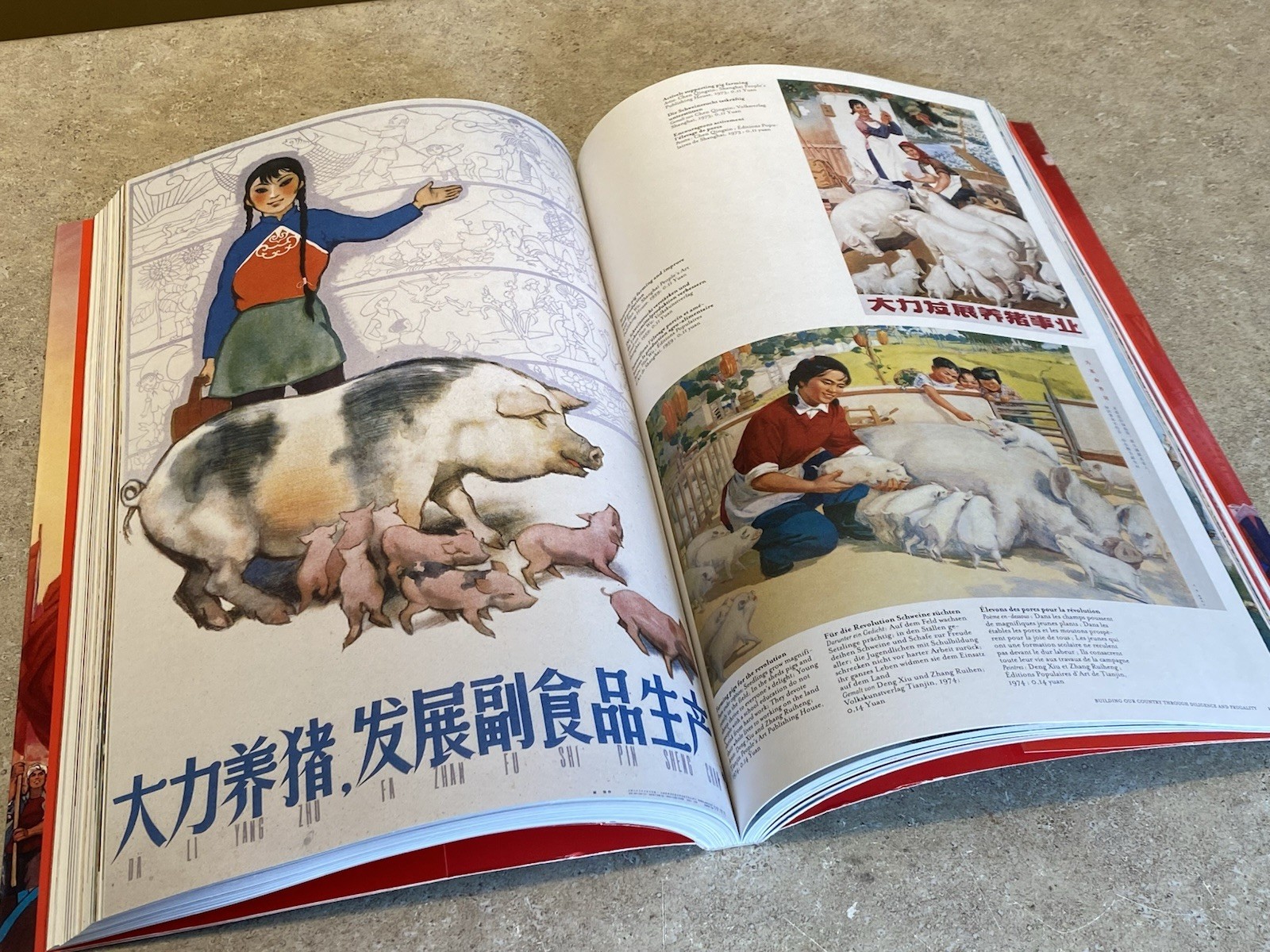 Chinese Propaganda Posters (from the Collection of Michael Wolf) by Anchee Min