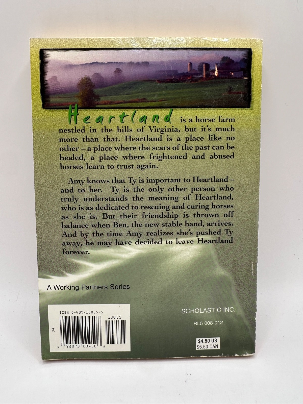 Lot of 4 Heartland YA Chapter Books #1 4 6 7 + Chestnut Hill #1 Lauren Brooke