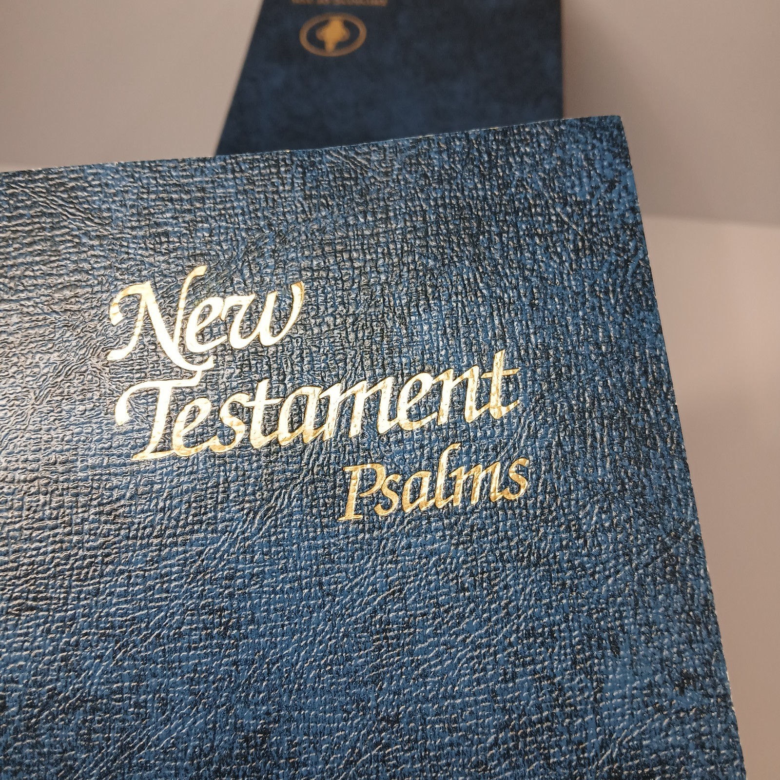 Lot of 13 New Testament Psalms KJV ESV Spanish Large Print Softcover 8.25 x 5.25