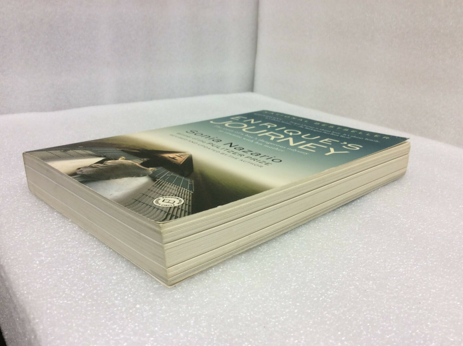 Enrique’s Journey by Nazario, Sonia, (2007 Paperback) Rveised