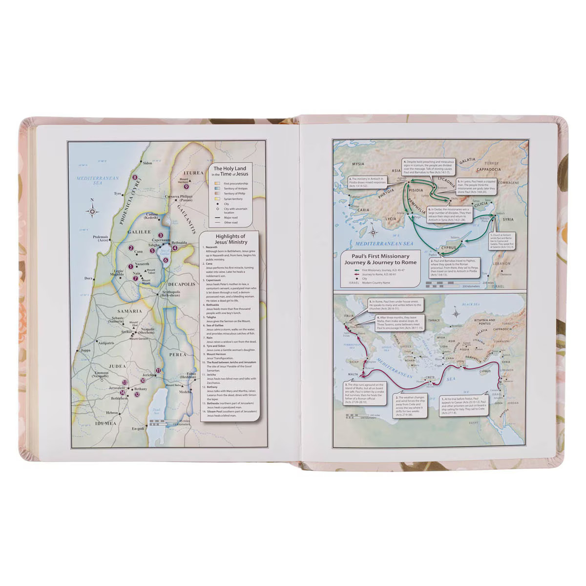 KJV Note-taking Bible, Special Edition, Journal Space, Reading Plan, Maps,