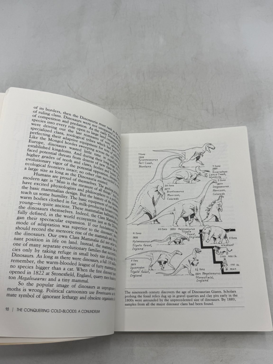 Dinosaur Heresies Robert Bakker 1986 First Edition Paleontology Hardcover