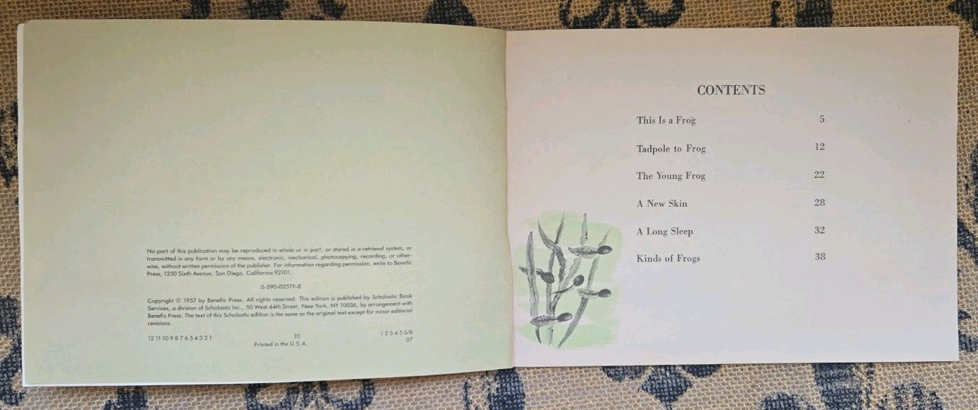 Stories about Frogs Childrens Book Lot Freddie the Frog, Hoppy Long Legs, Gorky