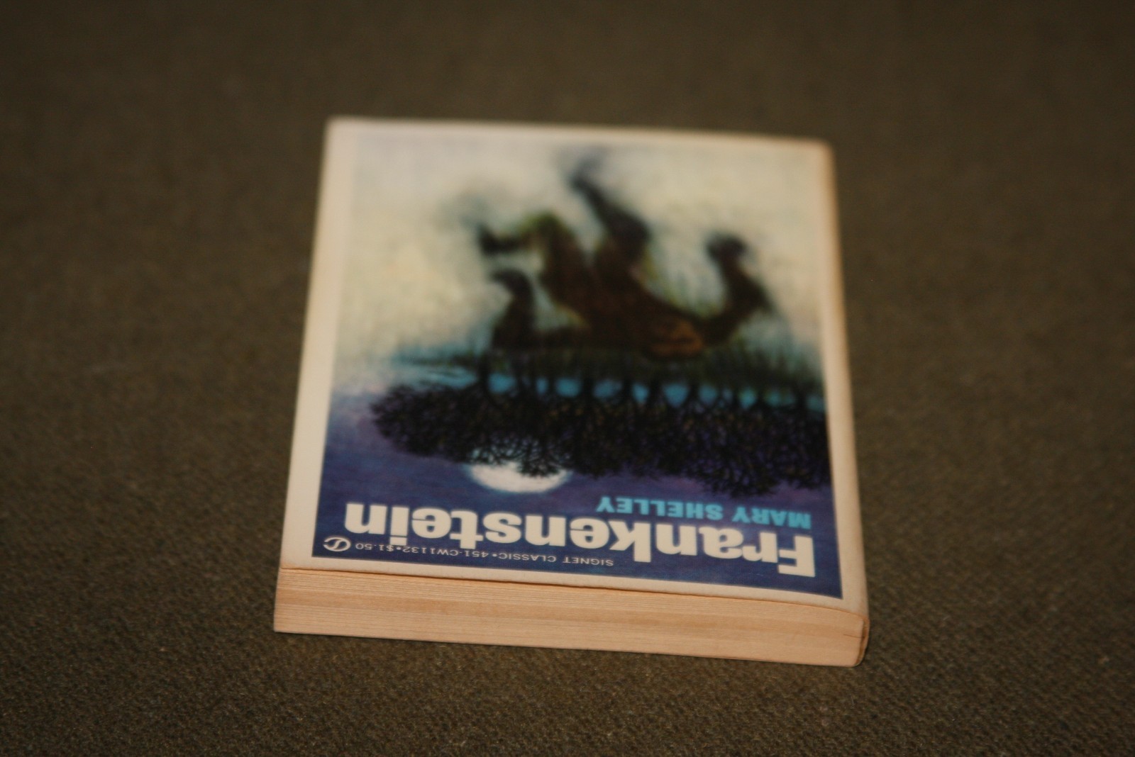 Frankenstein by Mary Shelley 1965 PB 13th Print Signet Classic