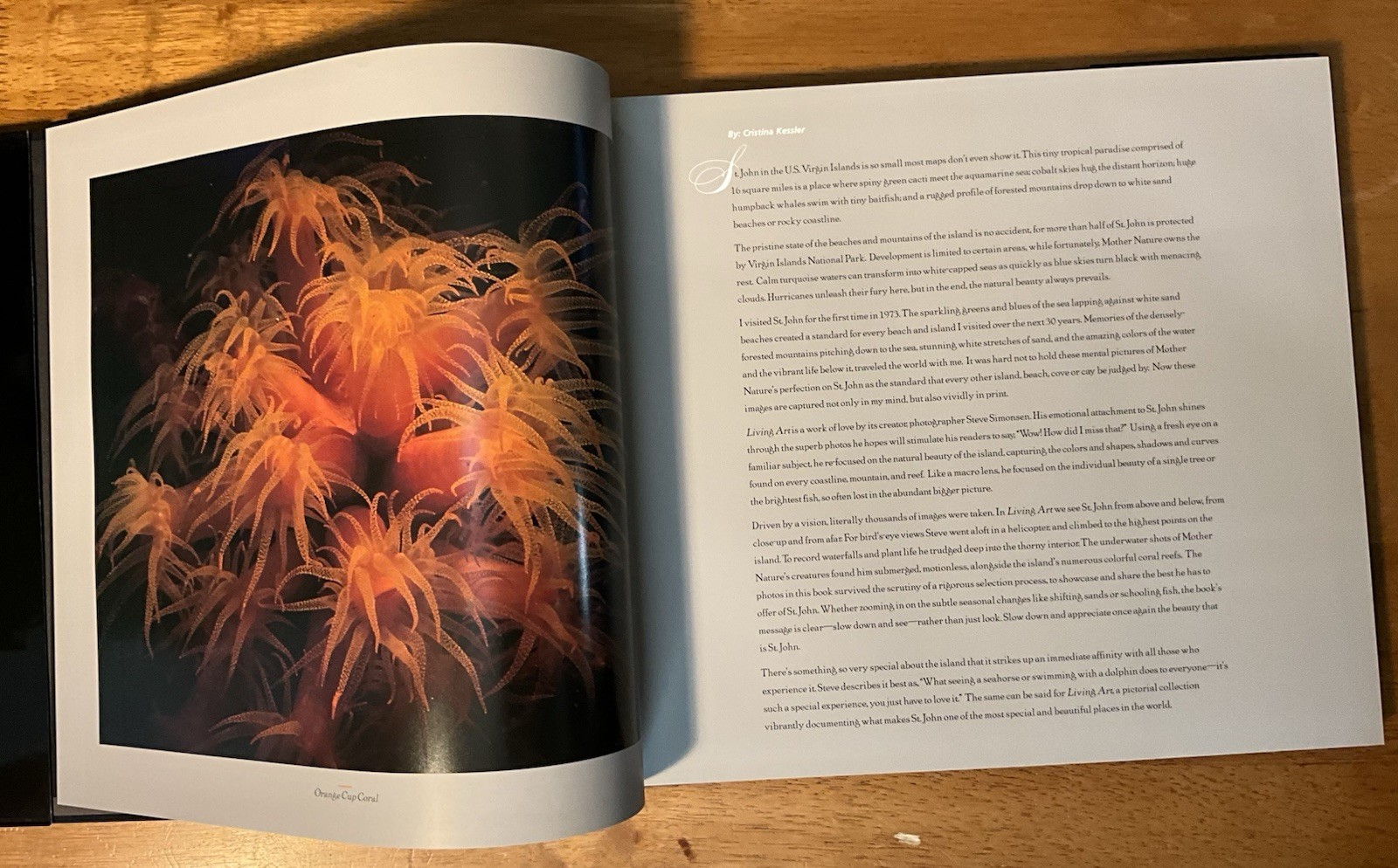 St. John U.S.V.I. Living Art Simonsen 2003 SIGNED Caribbean Photography 2nd Ed.