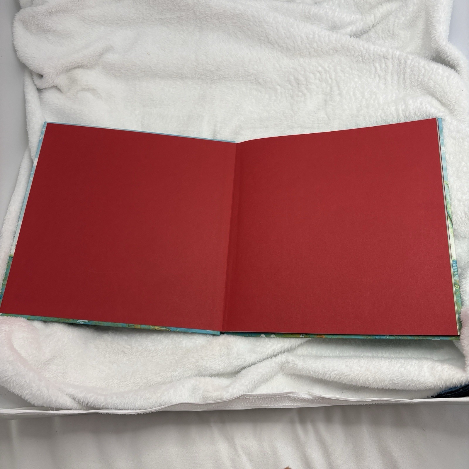 Red Sings from Treetops: A Year in Colors (Sidman, Zagarenski) – VERY GOOD