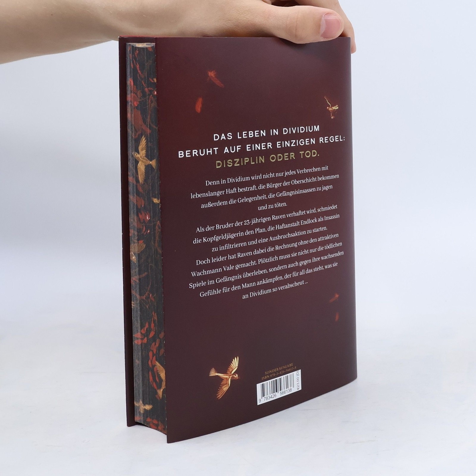 To Cage a Wild Bird  |  Brooke Fast