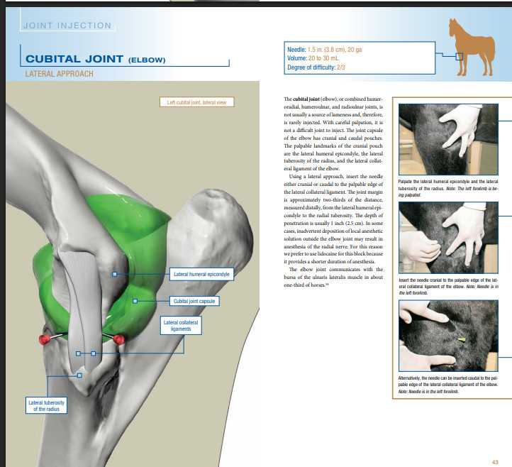 Equine Joint Injection and Regional Anesthesia 2 ED