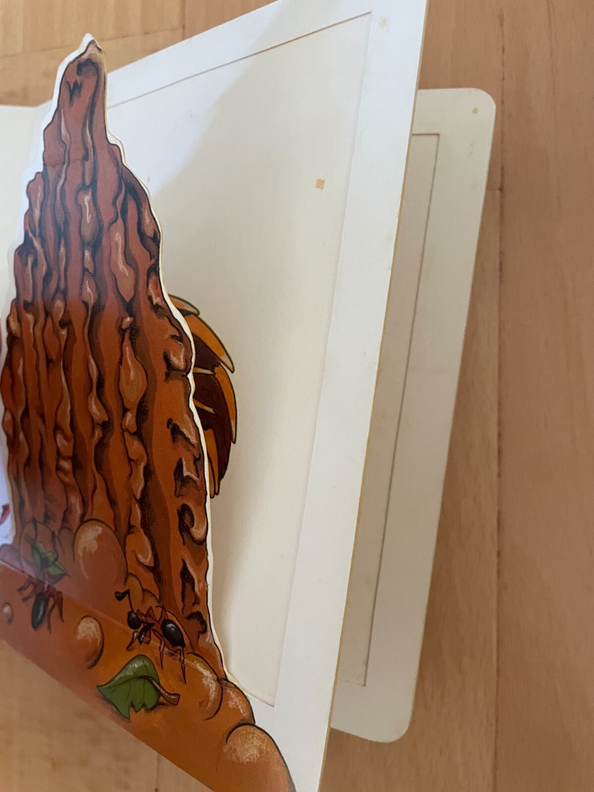 WHO’S THERE? IN THE WILD. GRRUNT. ELISA KREY. 19 BY 17 CM. BOARDED. 1863090940