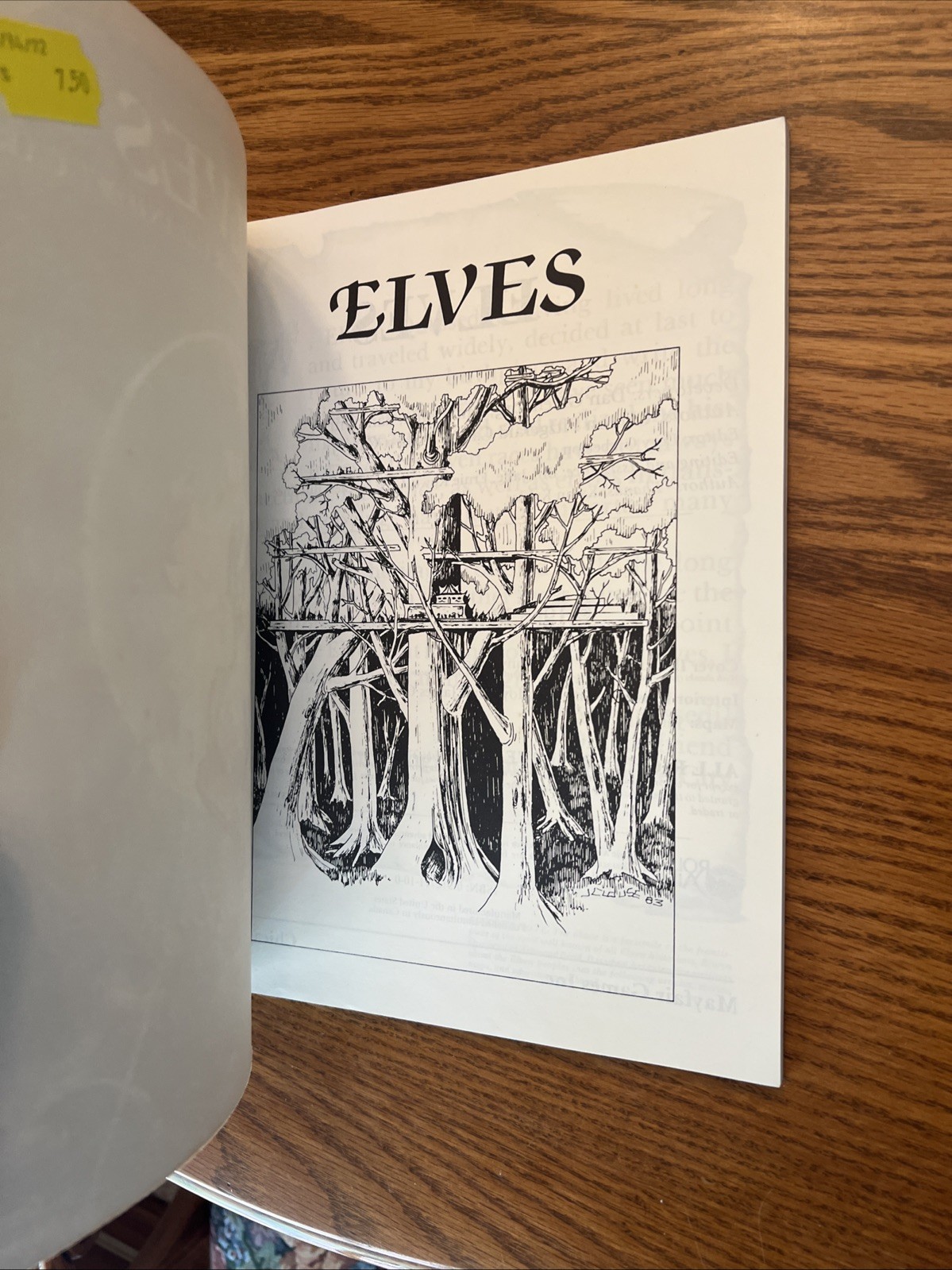 Mayfair Games Role Aids – Elves system neutral TTRPG supplement 711 Advanced D&D