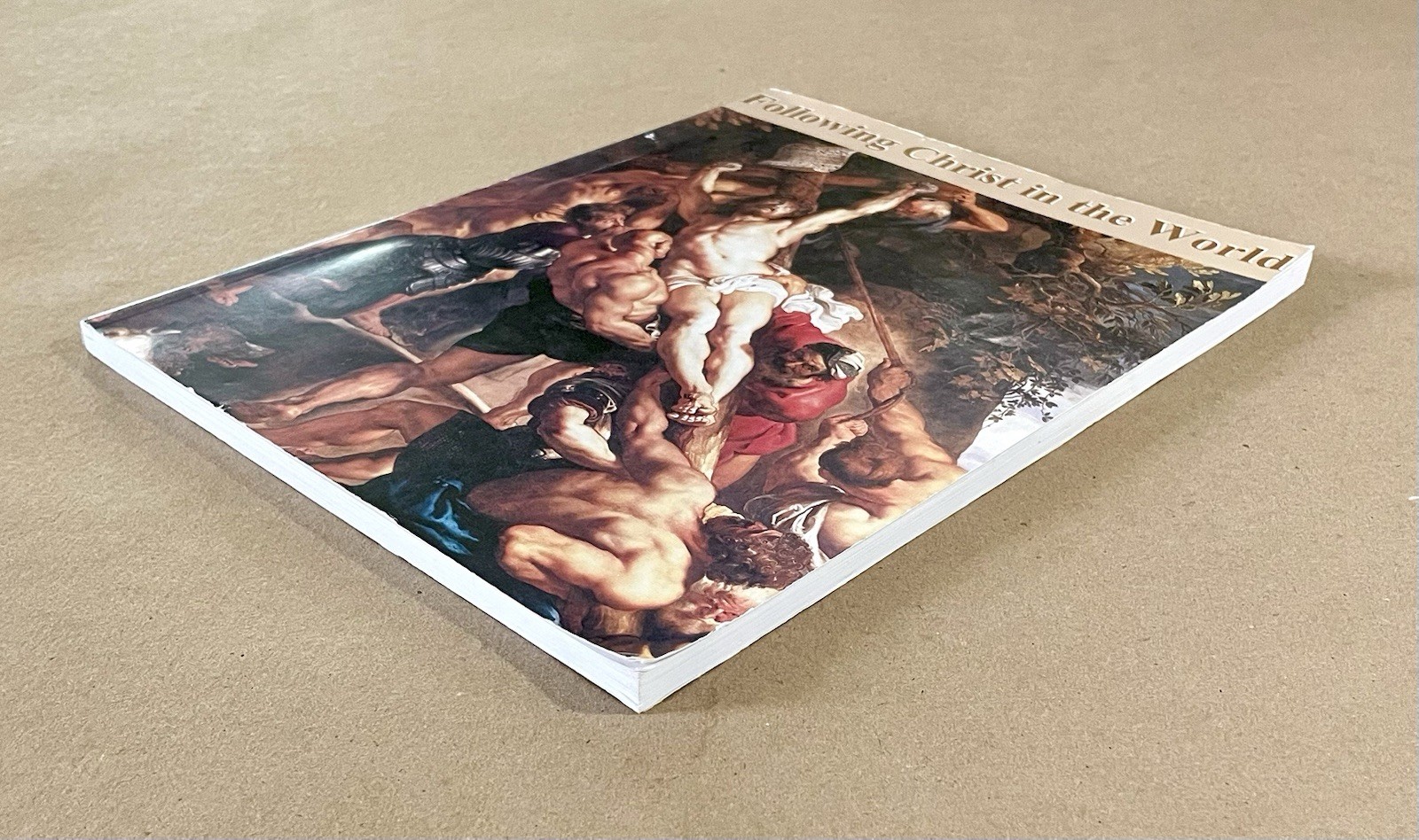 Following Christ in the World, Anne Carroll, Seton Press (2008, PB) Catholic VG!