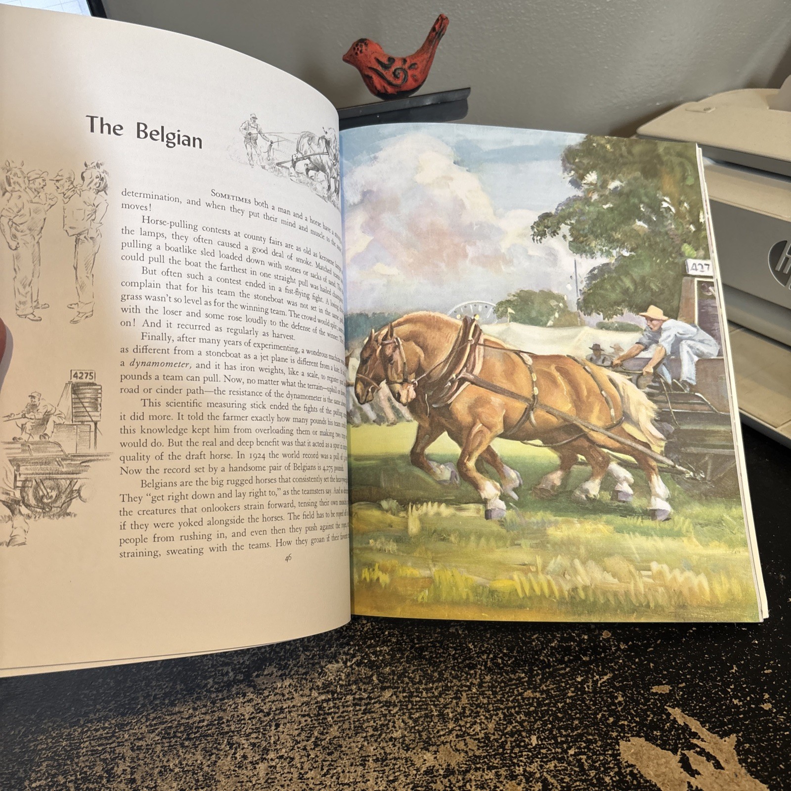 Album of Horses – Paperback By Henry, Marguerite – 1994 Very Nice Condition