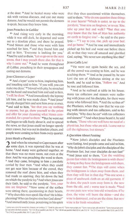 ESV Thinline Bible, Red Letter TruTone, Chocolate/Blue, Paisley Band Design SALE