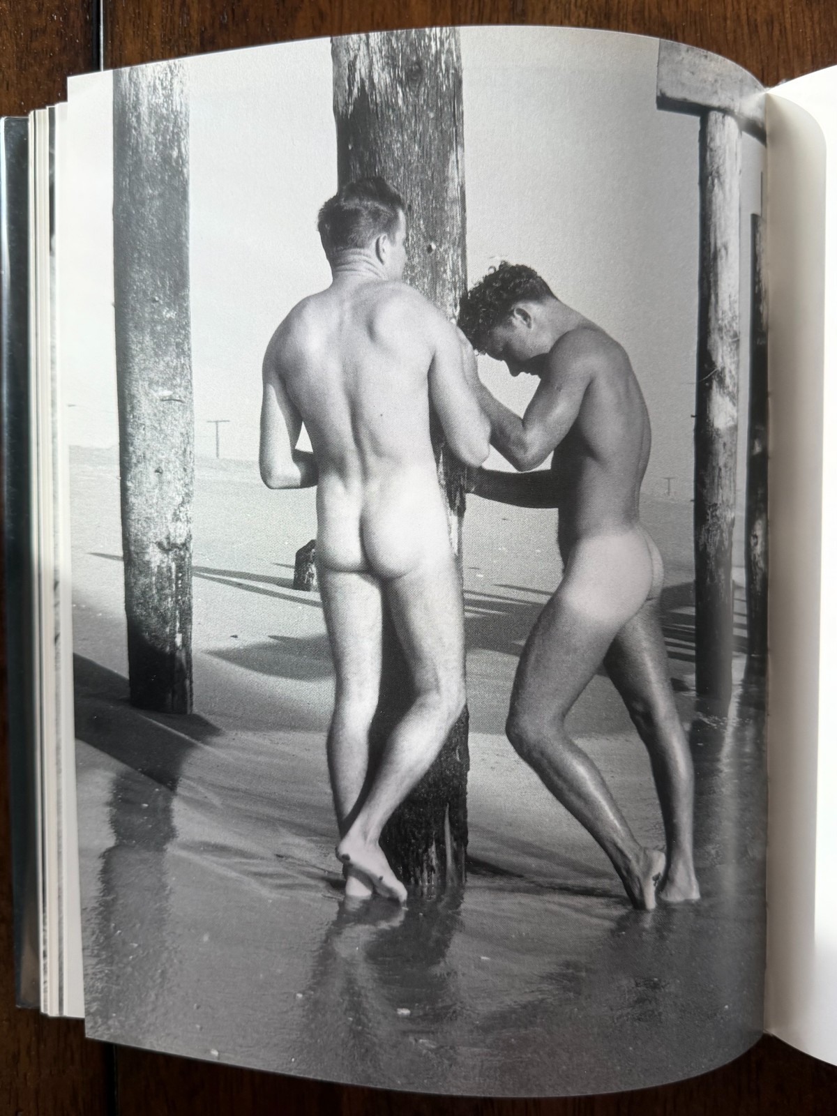 The Naked Heartland by Bruce of Los Angeles Male Nudes Book, RARE, Near Mint