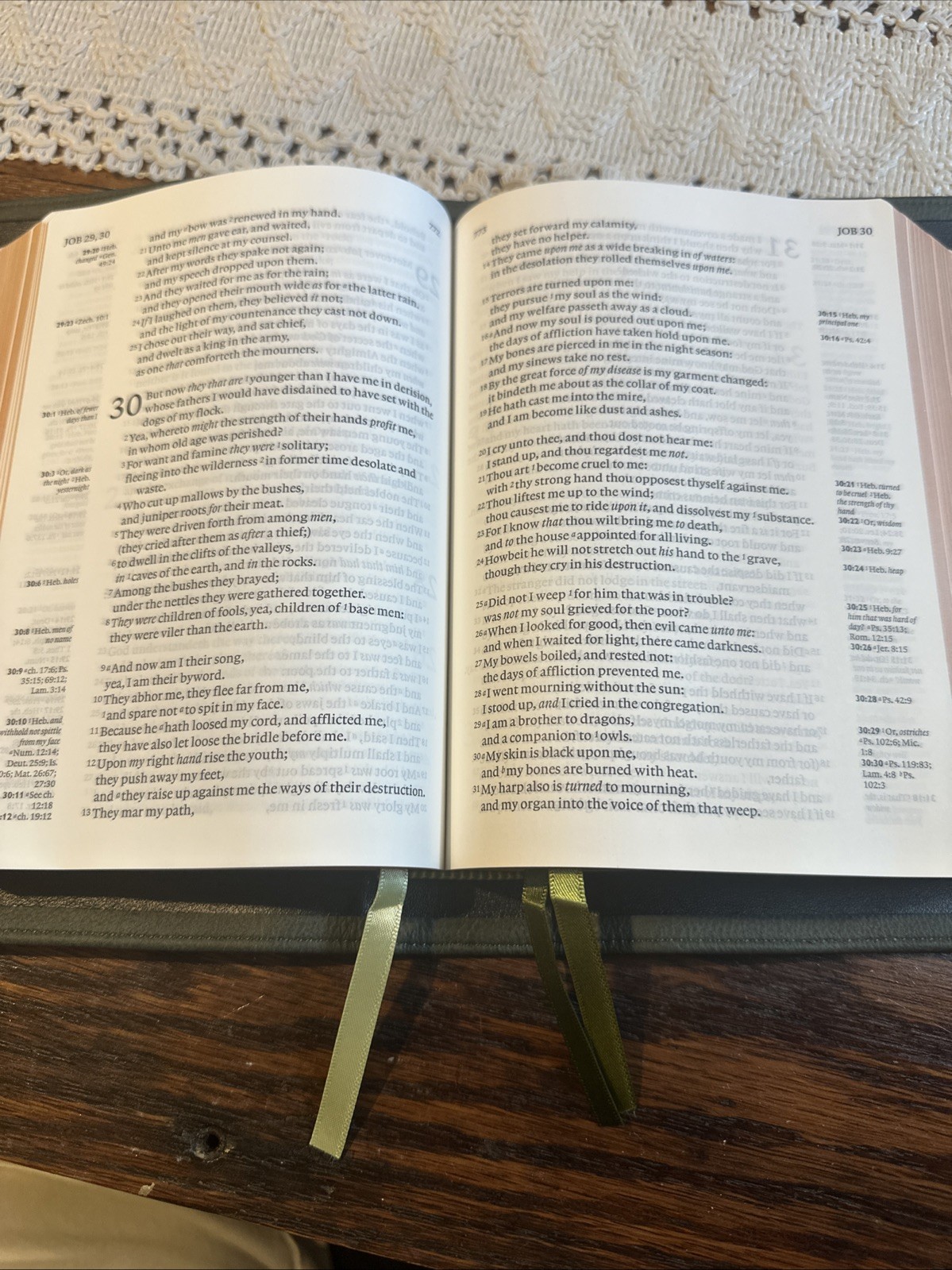 Cambridge Clarion KJV Ref BIBLE GREEN Calfskin Like New