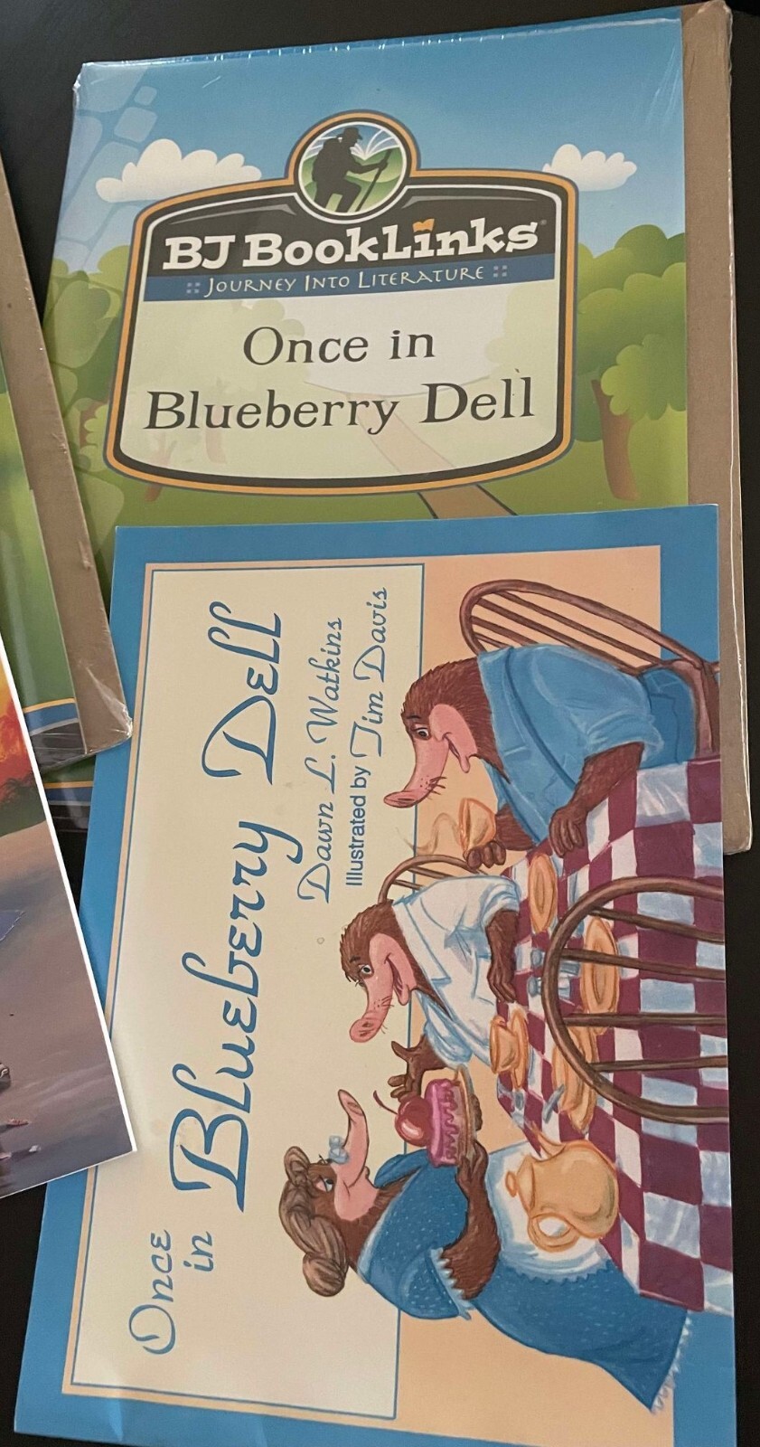 Bob Jones Booklinks Journey Into Literature Set