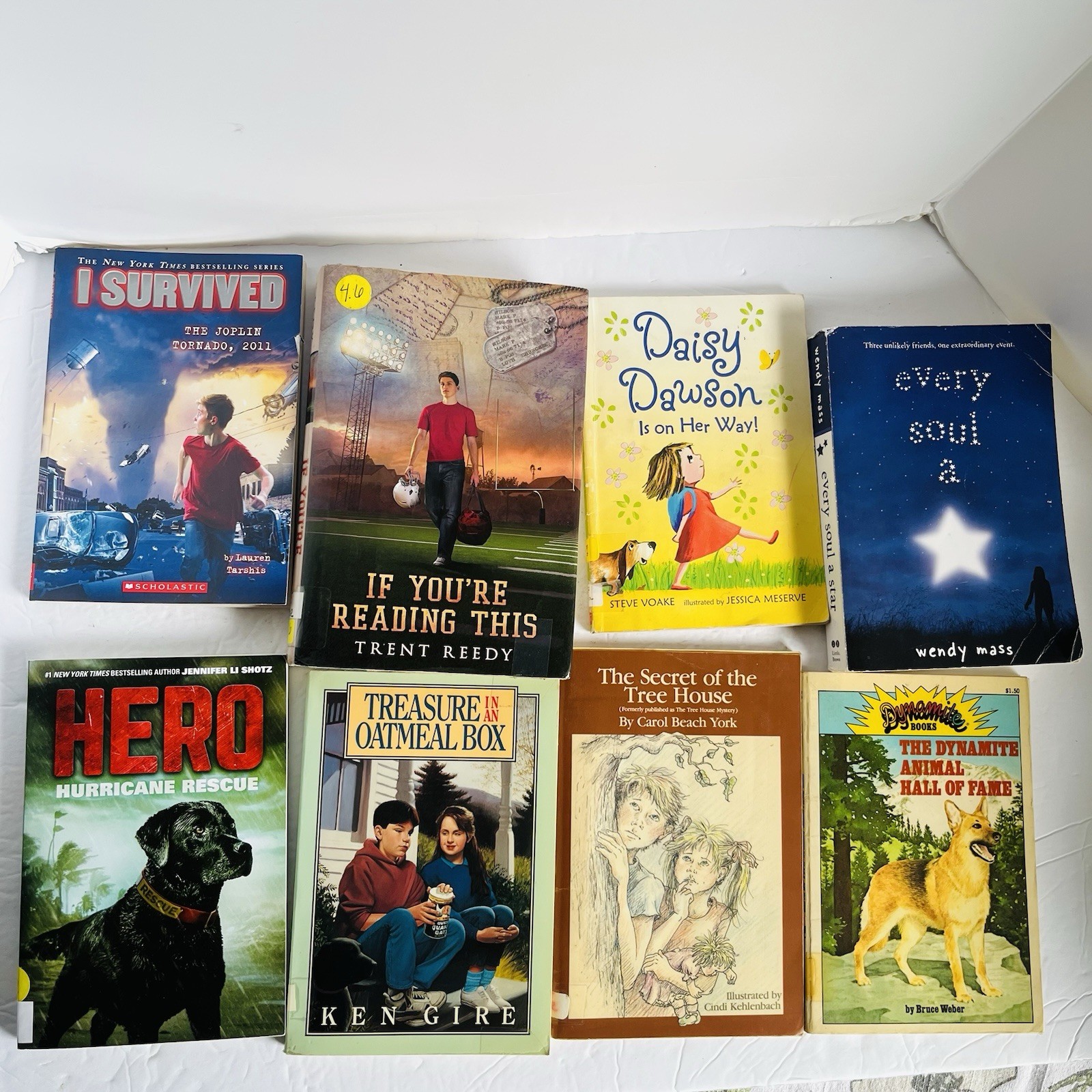Lot of 10 Random 4th grade Children’s Kids Chapter Book Some series Elementary