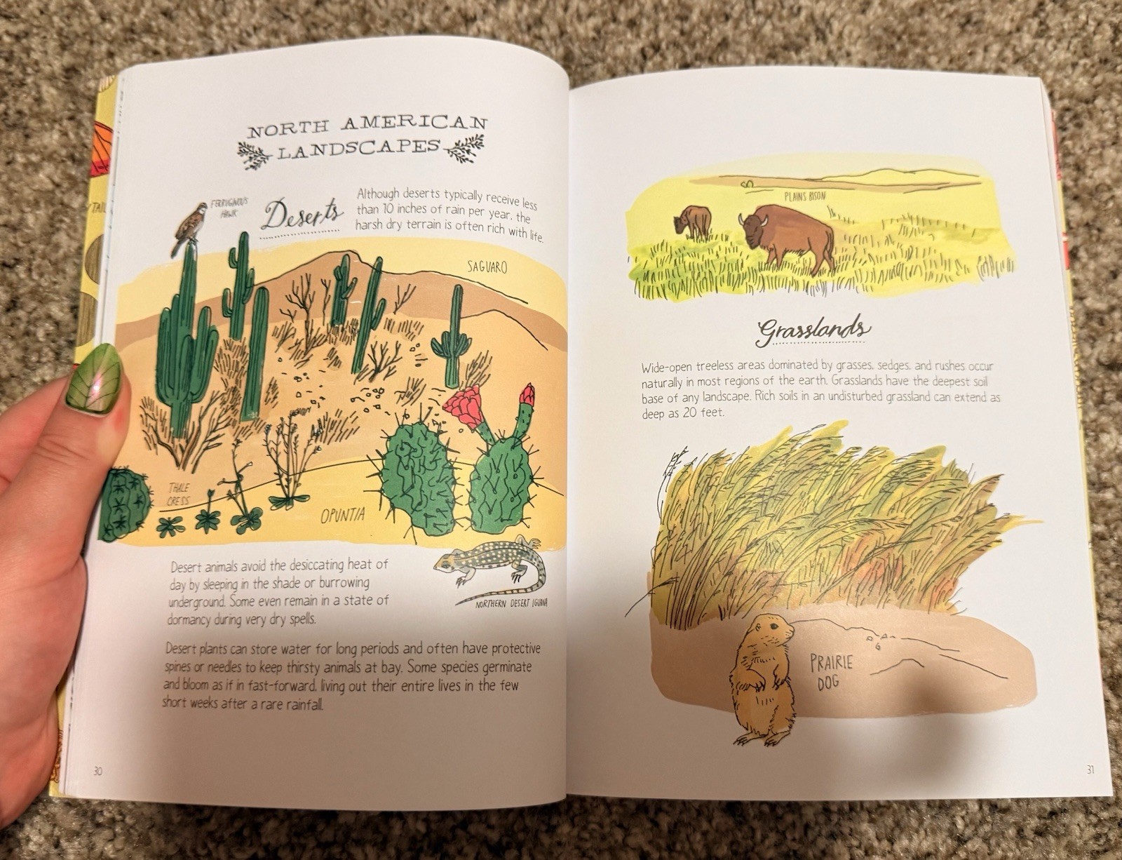 Julia Rothman Nature Anatomy Illustrated Trade Paperback 2015