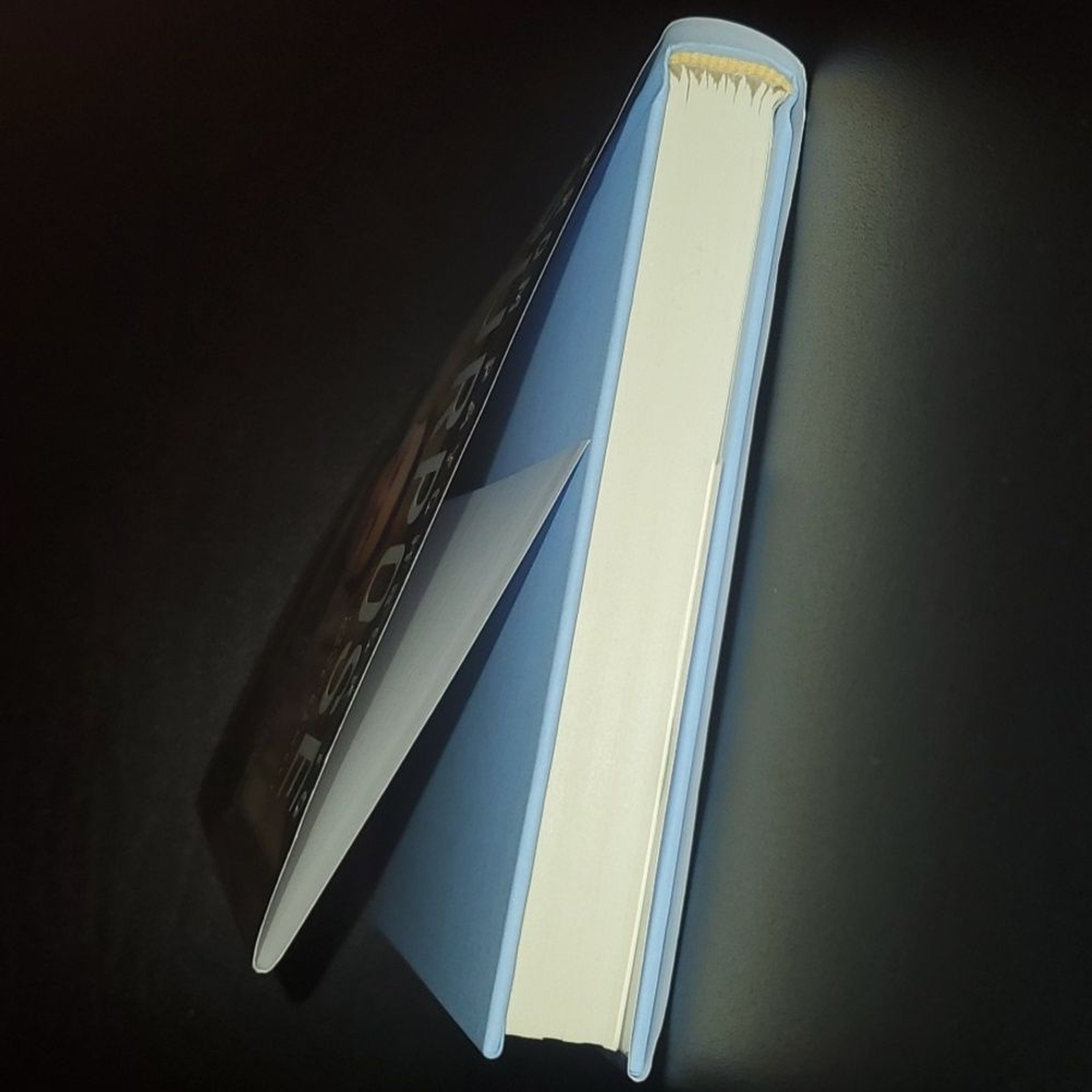 From Paycheck To Purpose Book Ken Coleman Over 250 Pages Euc