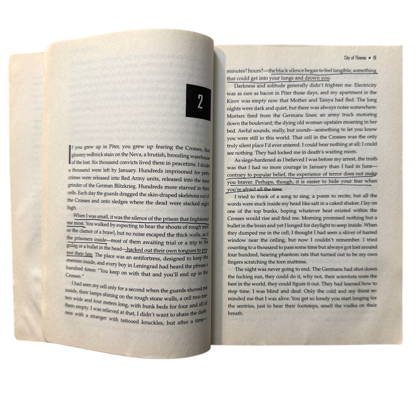 City of Thieves by David Benioff – A Penguin Book Paperback Novel WWII Fiction