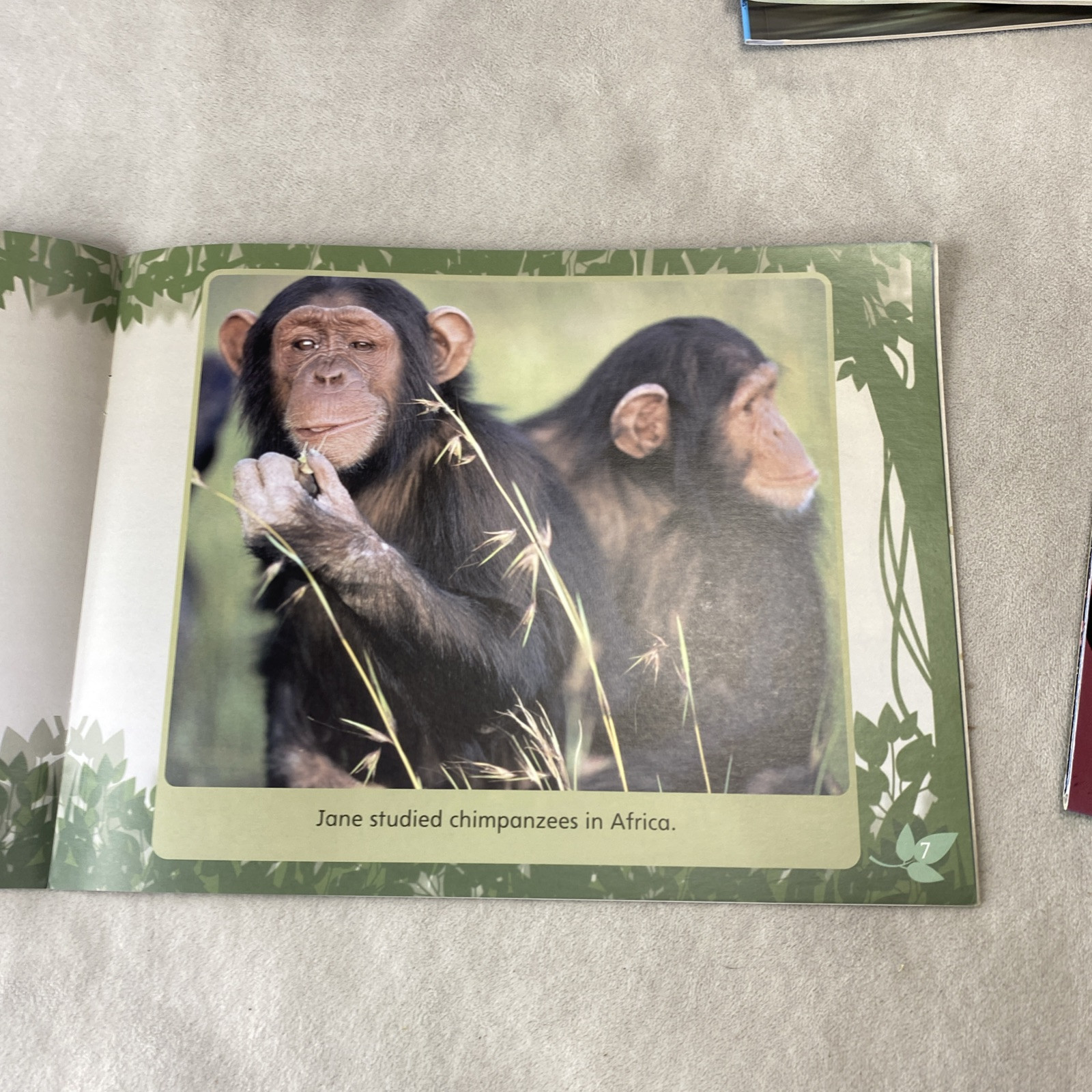 9 Assorted Steck-Vaughn Shutterbug Books: Leveled Reader Grades K – 1 Science
