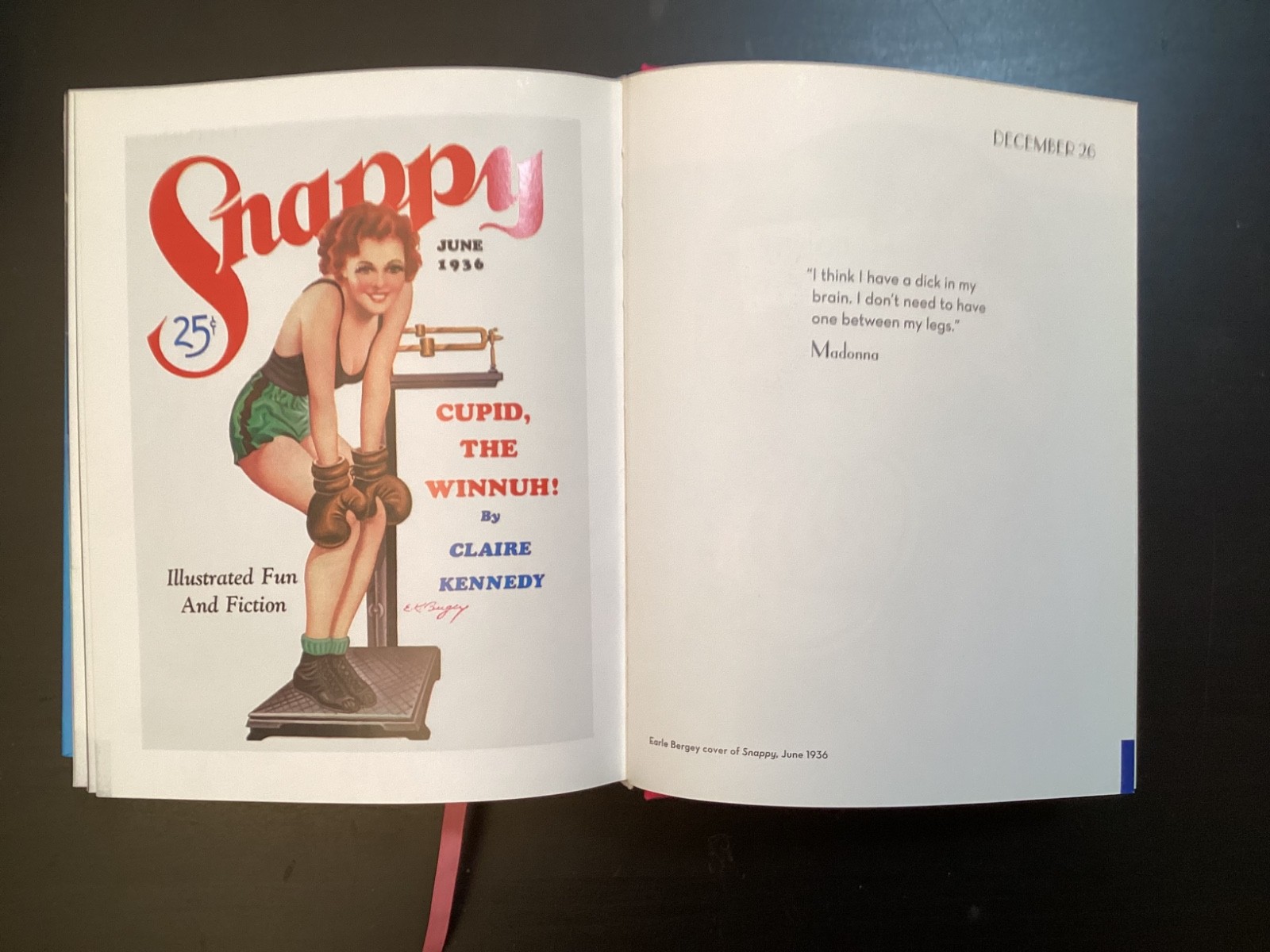 365 Day-by-Day Pin-Up Dian Hanson (2012, Hardcover Taschen)