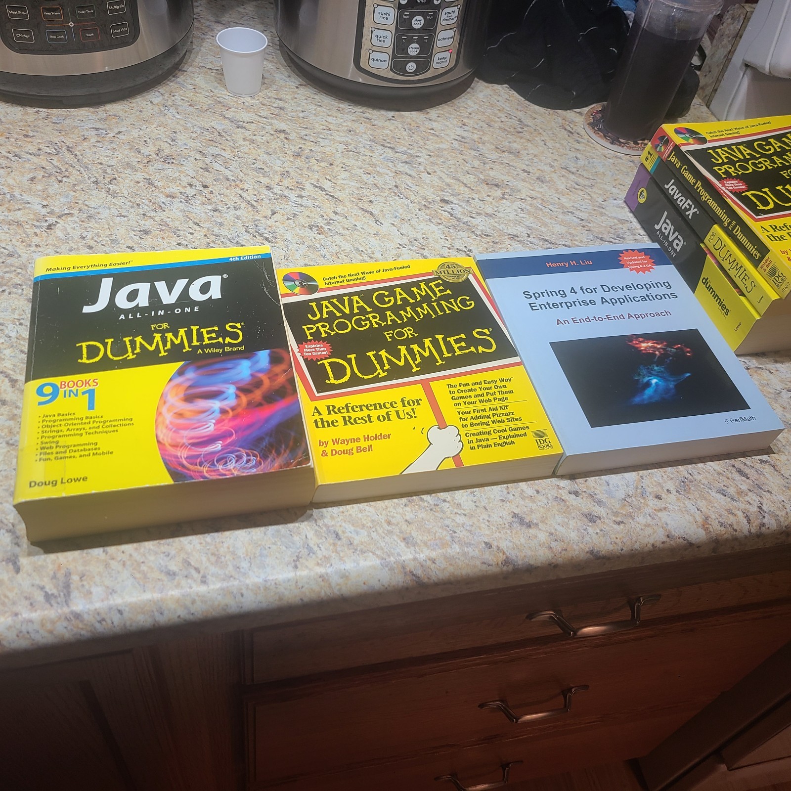 Java Programming Computer Science Lot